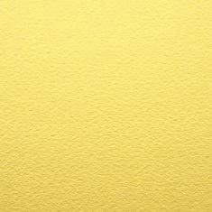 PaperPep Colorissimi 220GSM Card Stock A3 Girasole (Light Yellow) Unicolor 8 Sheets