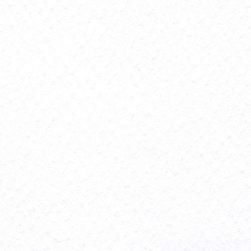 PaperPep Colorissimi 220GSM Card Stock 12"X12" Bianco (White) Unicolor 15 Sheets