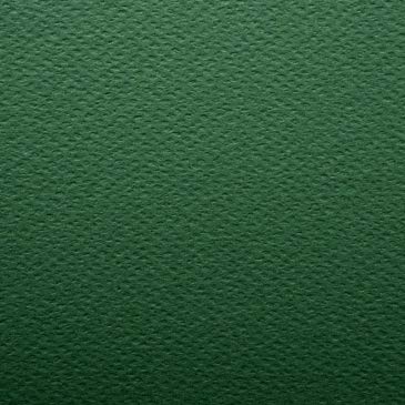 PaperPep Colorissimi 220GSM Card Stock A3 Pino (Dark Green) Unicolor 8 Sheets