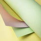 PaperPep Le Cirque 80GSM A4 Pastel Shades Assorted Pack of 50 Sheets