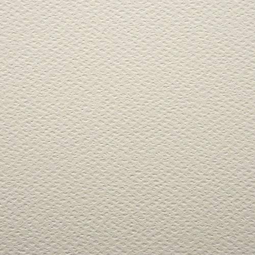 PaperPep Colorissimi 220GSM Card Stock A3 Grigio (Light Grey) Unicolor 8 Sheets